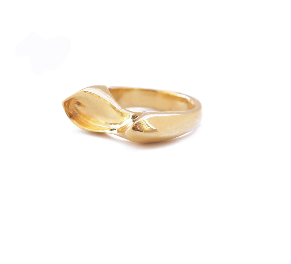
            
                Load image into Gallery viewer, Low Tide Ring- Gold
            
        